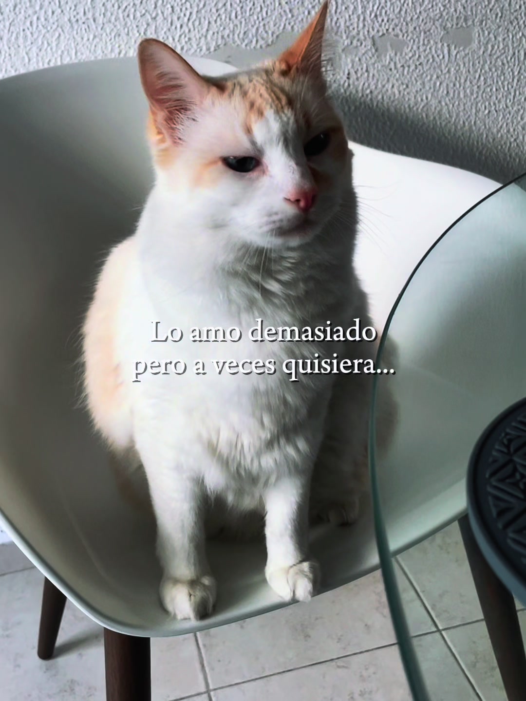 @Karen Castellanos