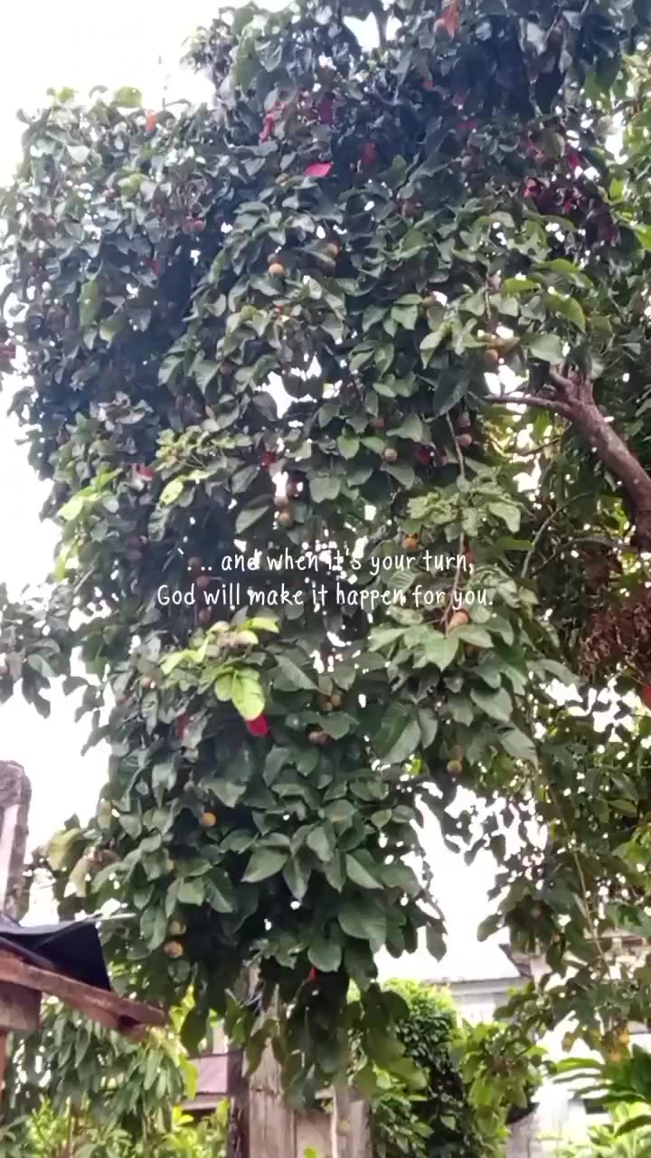 @"PÈKÀÇHÜ"