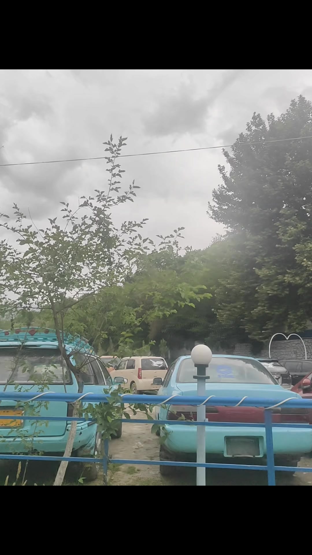 @دردمن-- هلک