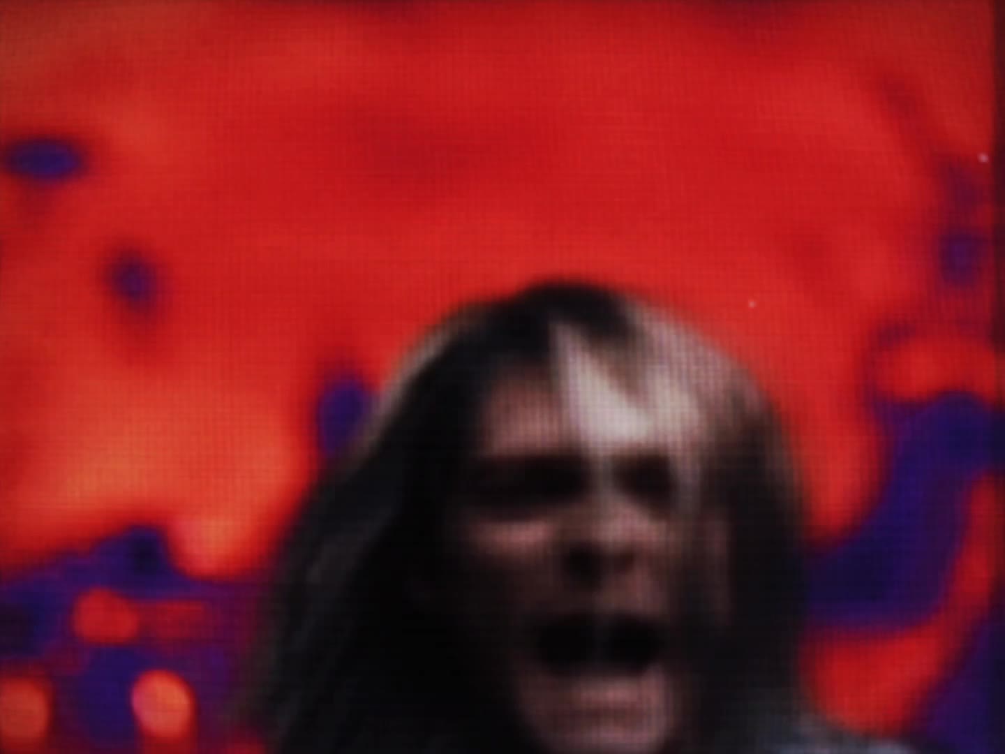 @𝕵𝖆𝒛 🦨🎸 (#1 Nirvana Fan)