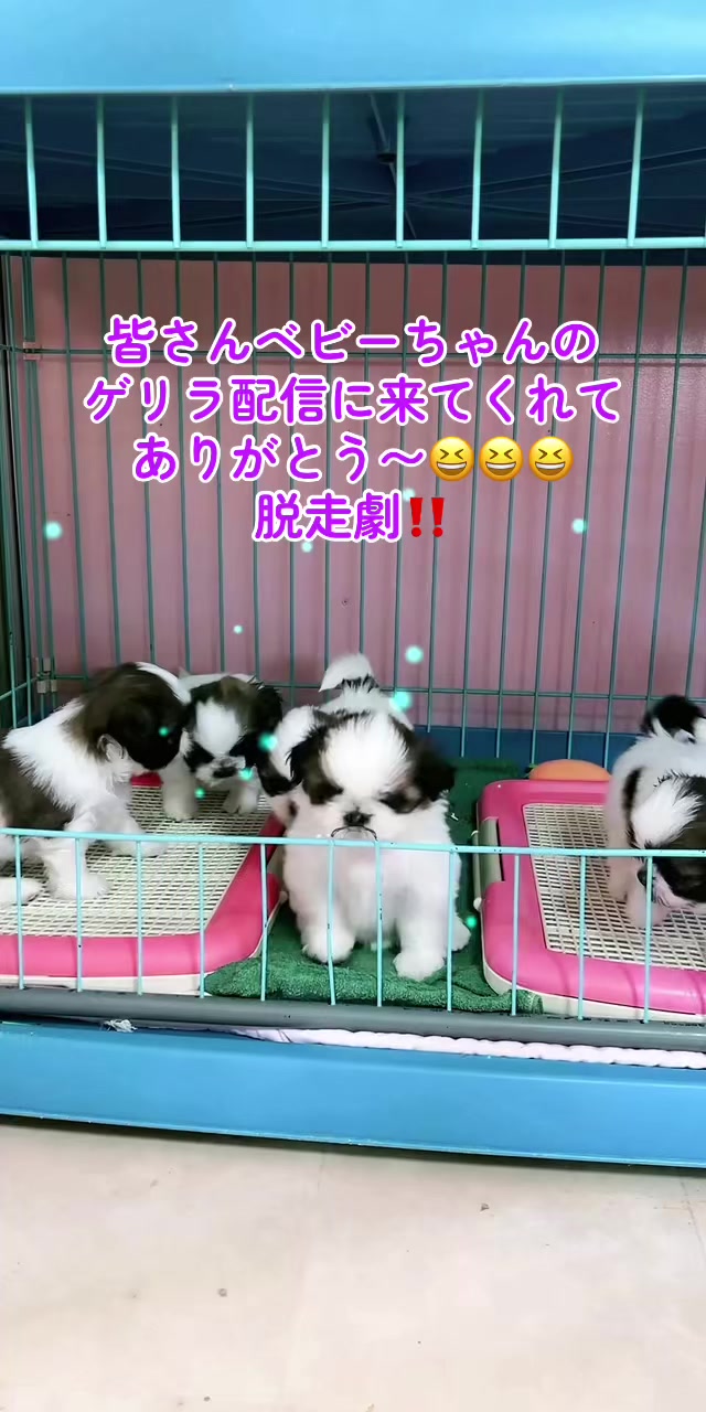 @❤️ぷりママ❤️