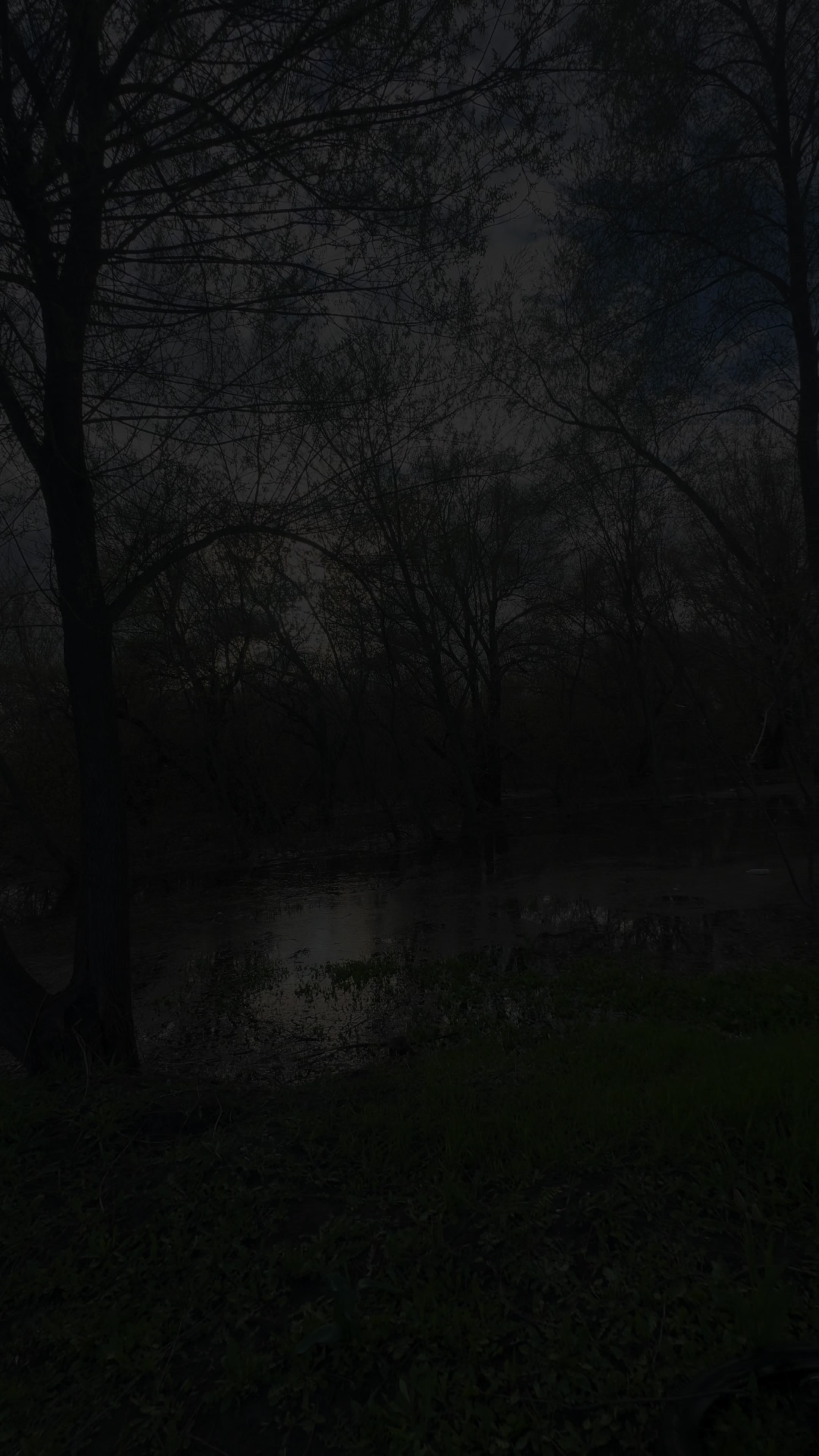 @тгк:Artemisa