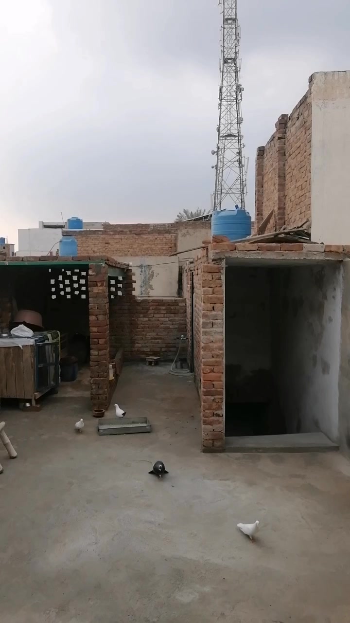 @⚡GUJJAR ⚡