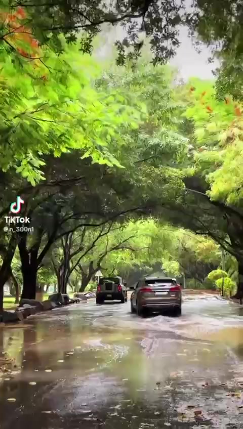 @سًـعـد