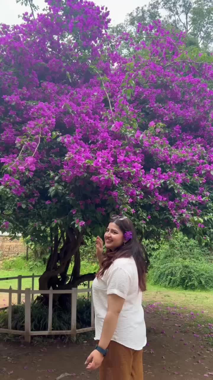 @Riju Niraula 🇳🇵