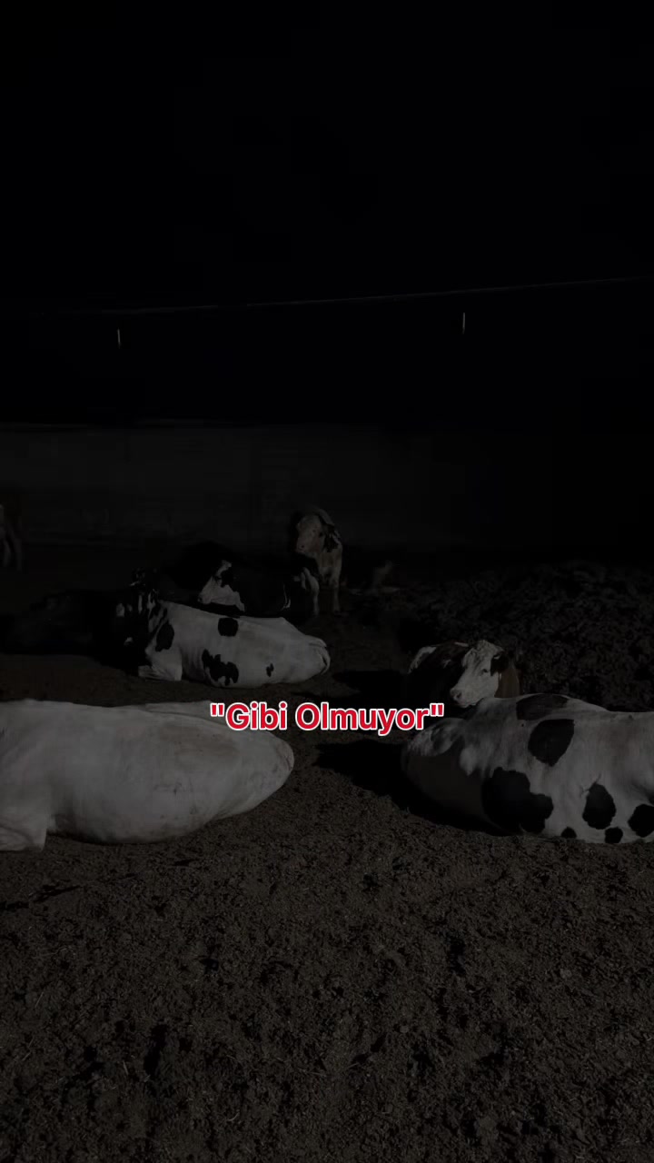@Tarık Üner Niğde