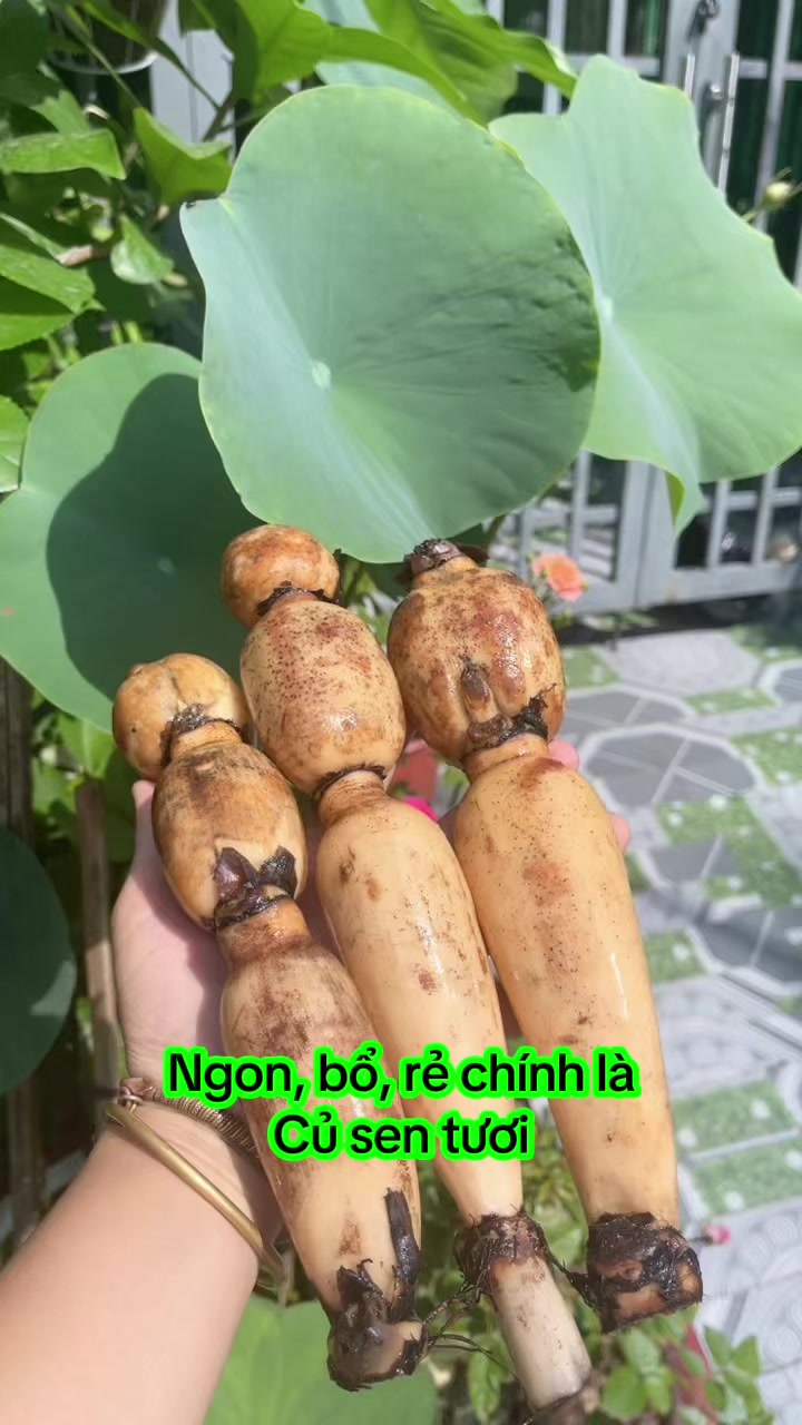 @nguyentuyet_79