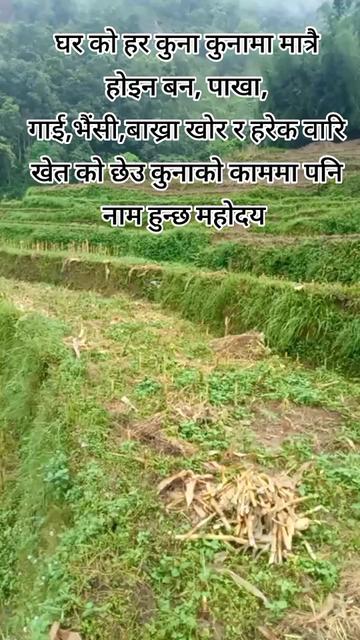 @pratimapoudel12
