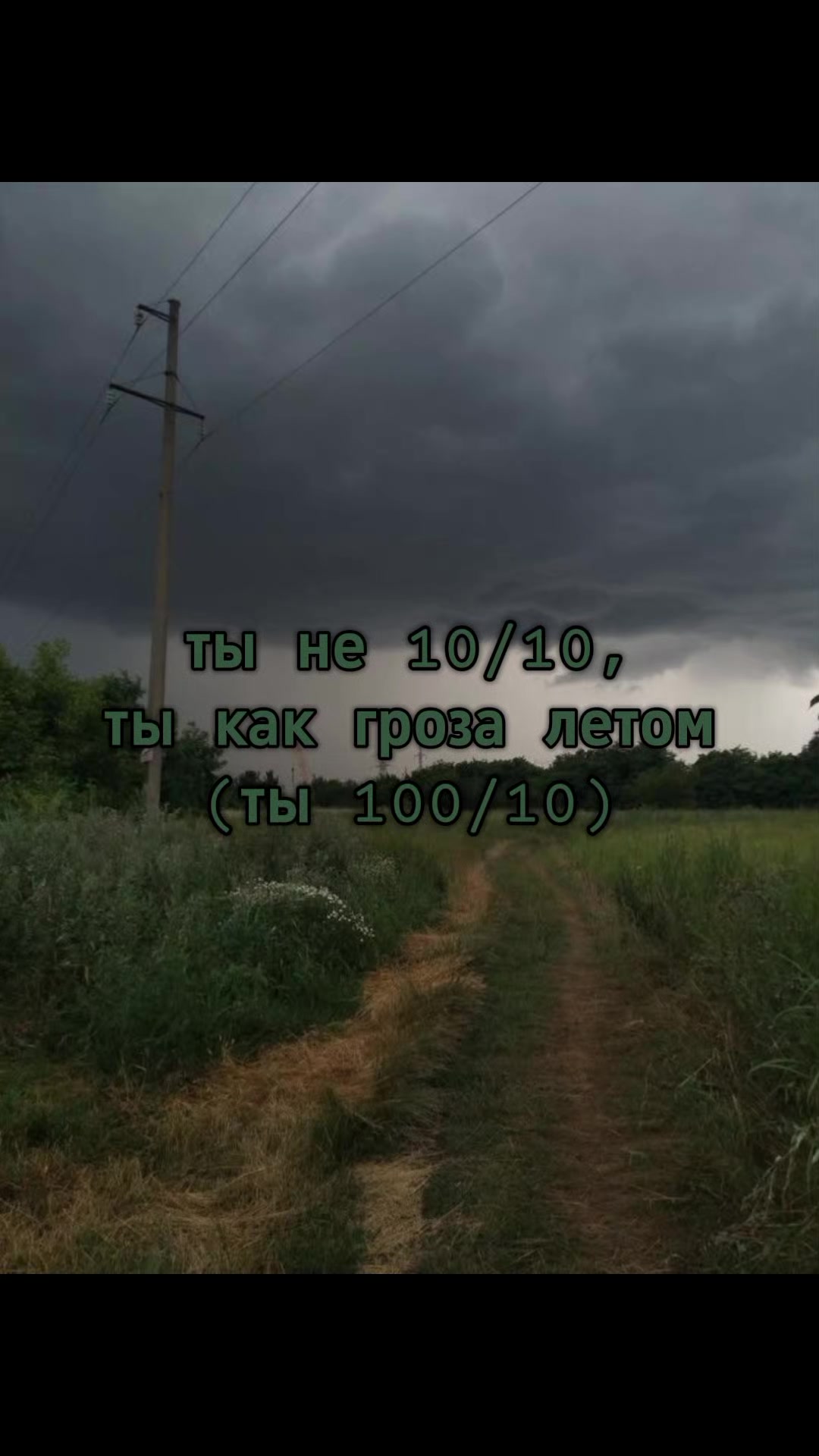 @🌾϶ᴧьɸ ᴧᴇᴛᴀ🍄