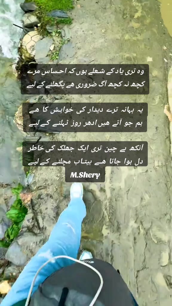 @Shery46