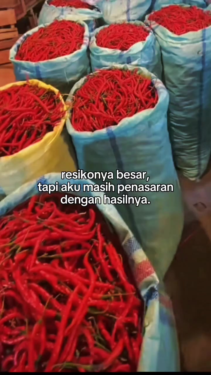 @4 saudara