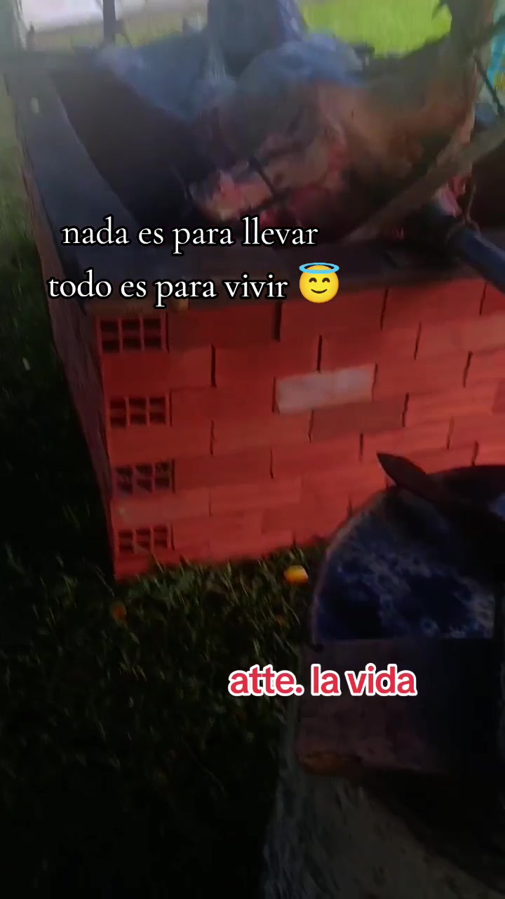 @Reyna Flores