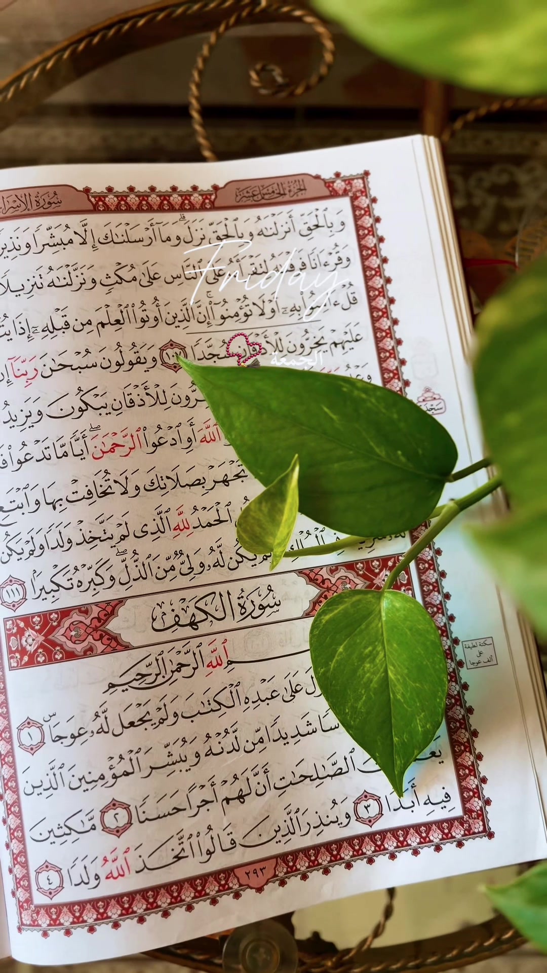 @HayoOsh M Diyab📷 ᥫ᭡