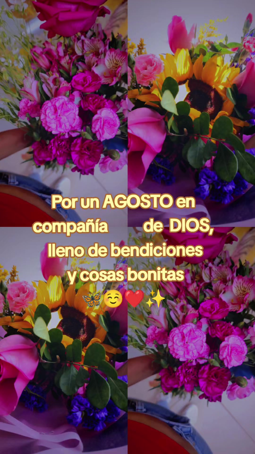 @Noemi Torrejon Torre