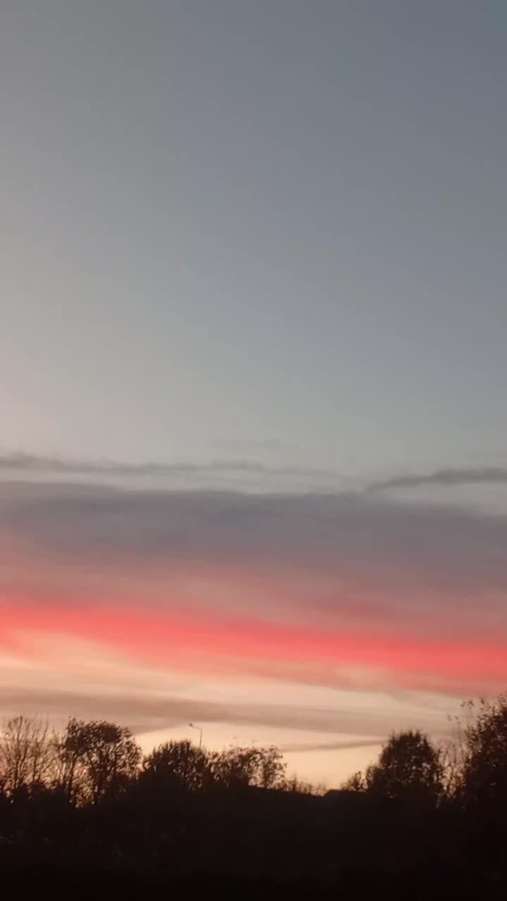 @Окся 🌼🌼🌼