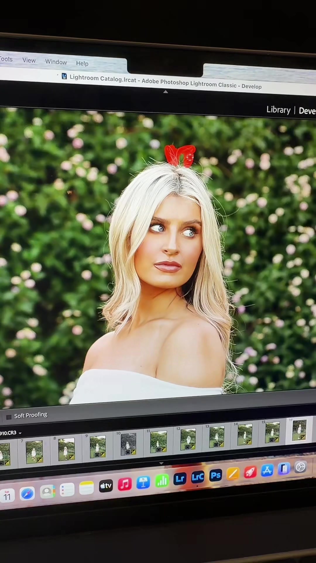 @Maddynealphotography