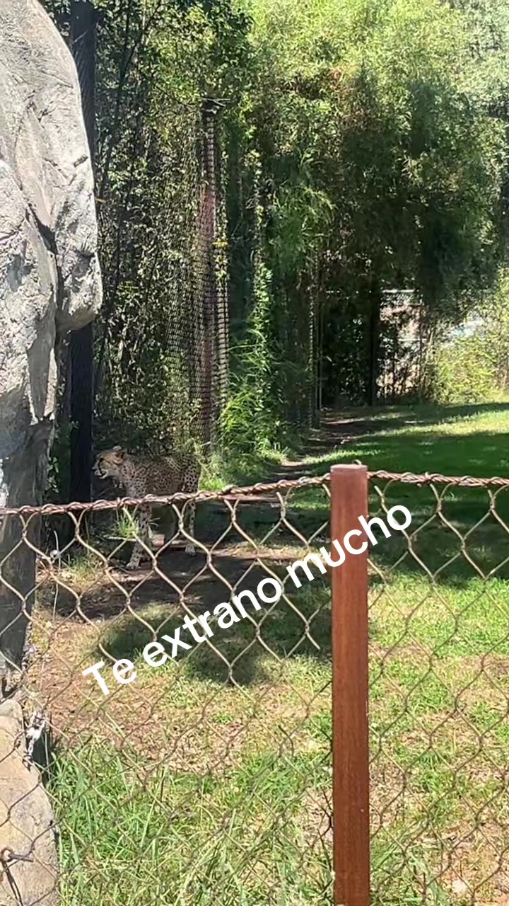@mariarangel83
