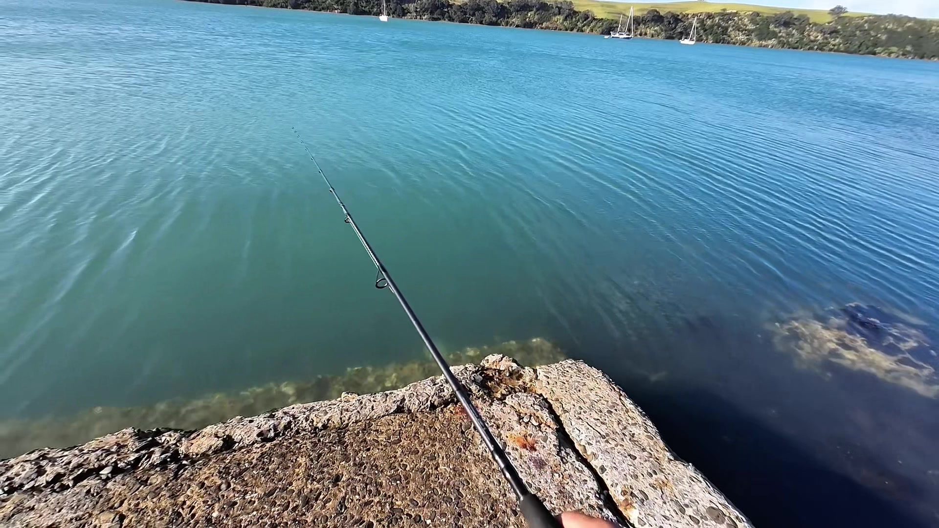 @Taqi Fishing