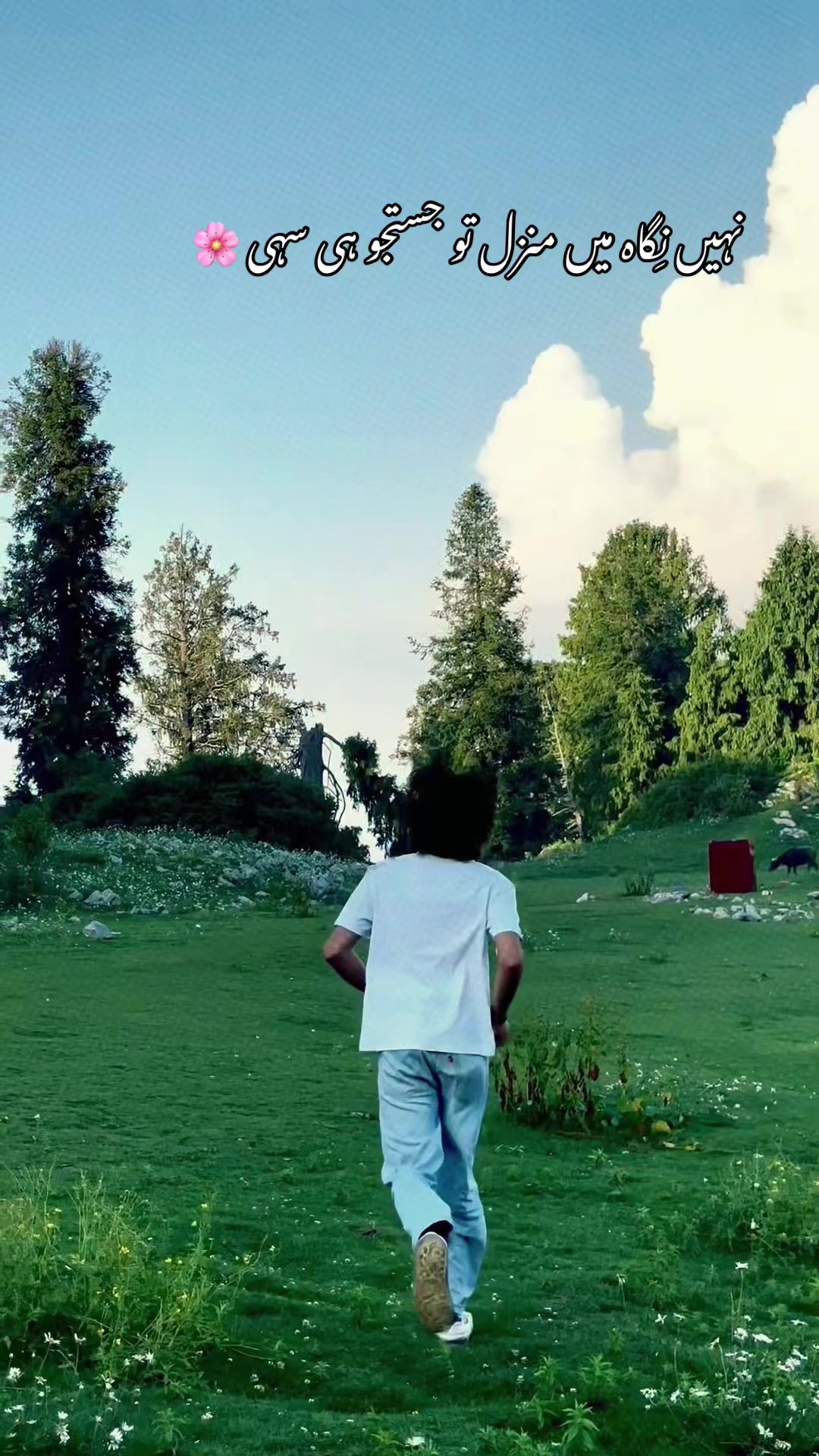 @𝓜єн𝕚R 𝐚ᒪ𝐈 🕊️