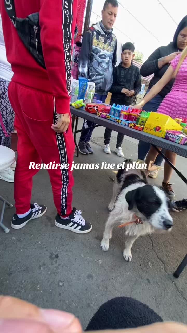 @Iɢɴᴀᴄɪᴀ ᴄᴀʀᴏʟɪɴᴀ🐞