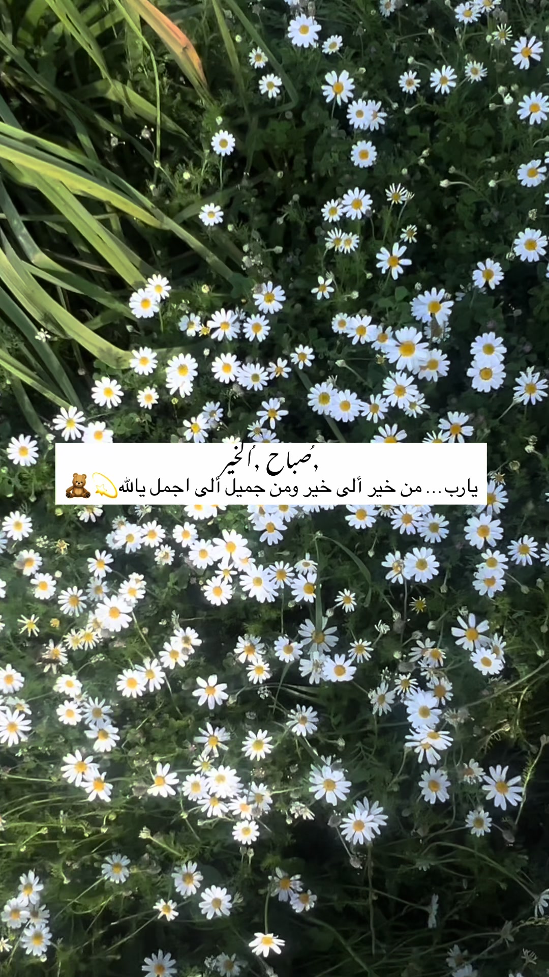 @لحظة الأمل 🫀🤍