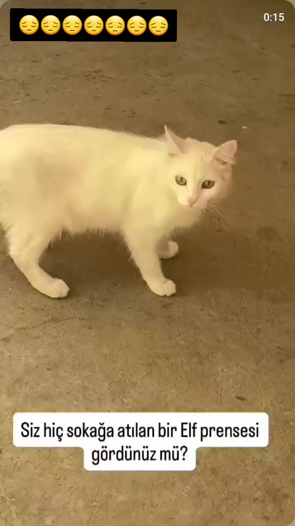 @MUSTAFA38