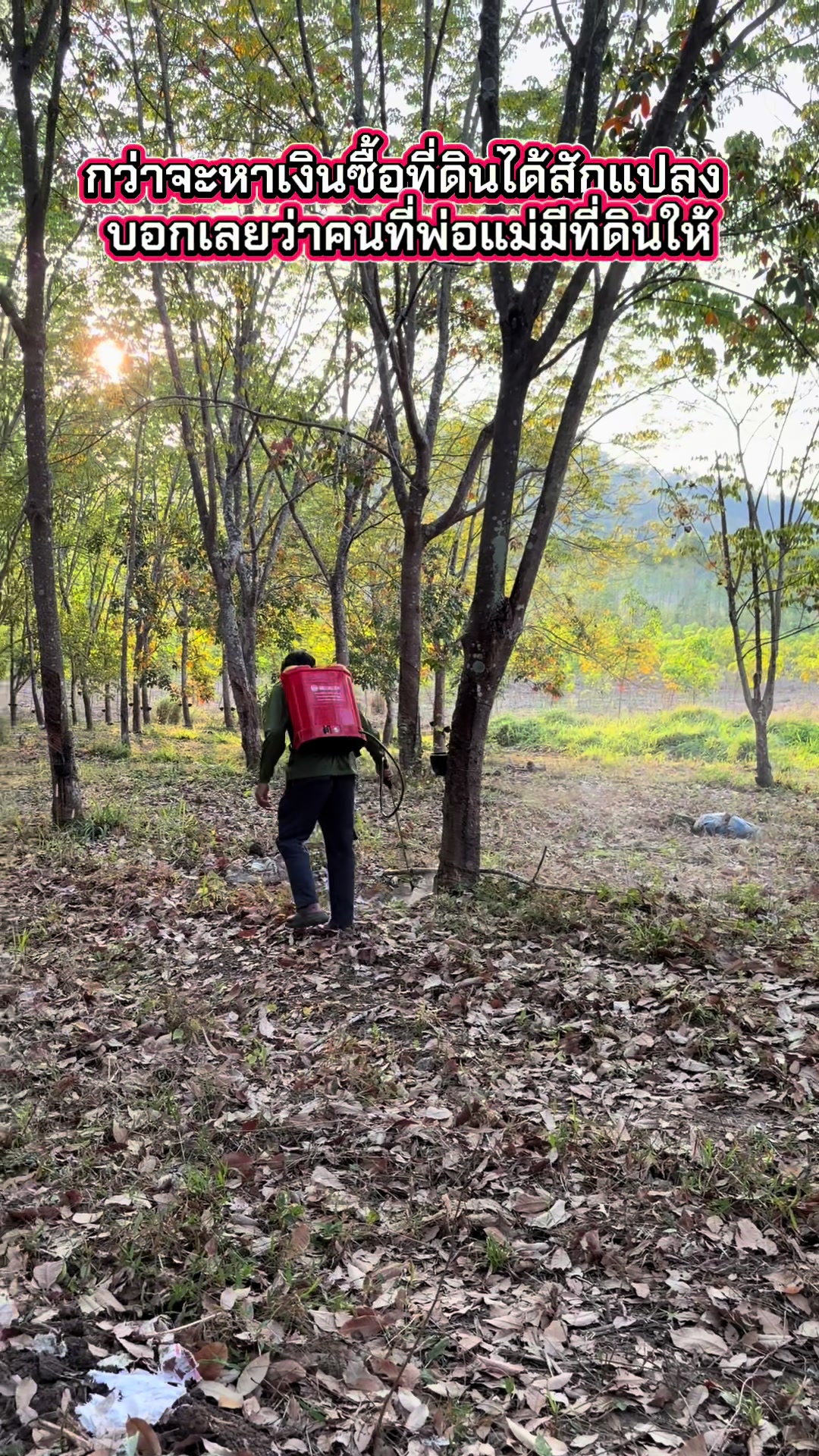 @นัดดาชอป