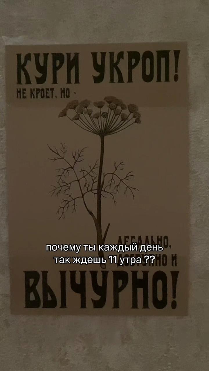 @лида