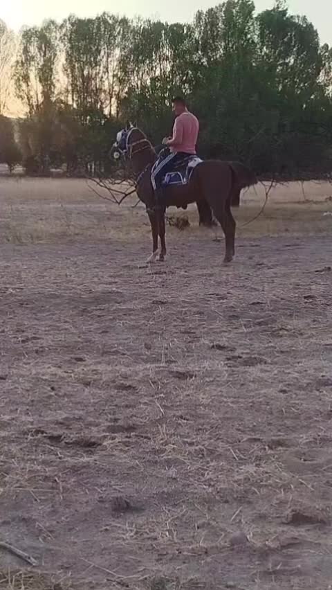 @H&uuml;seyin.cıbır