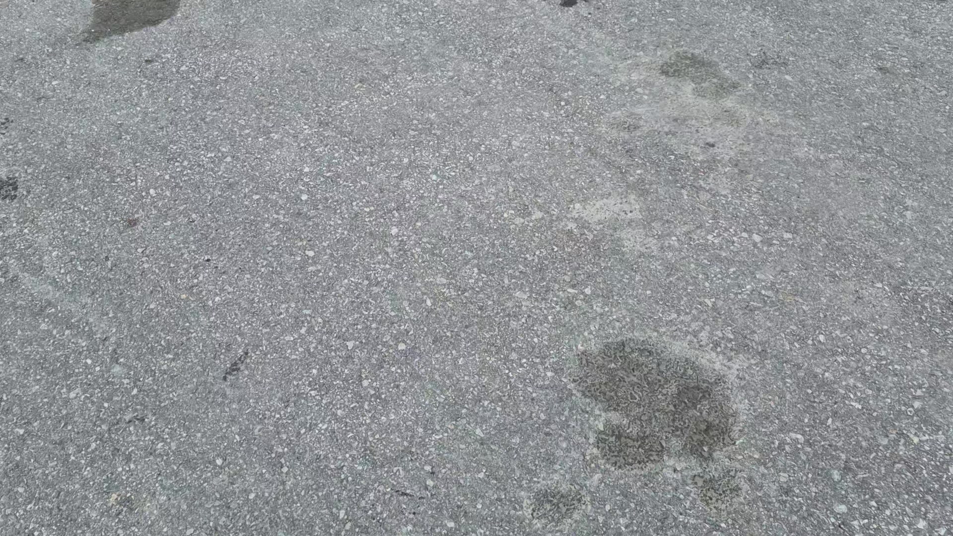 @Truck_Washing24