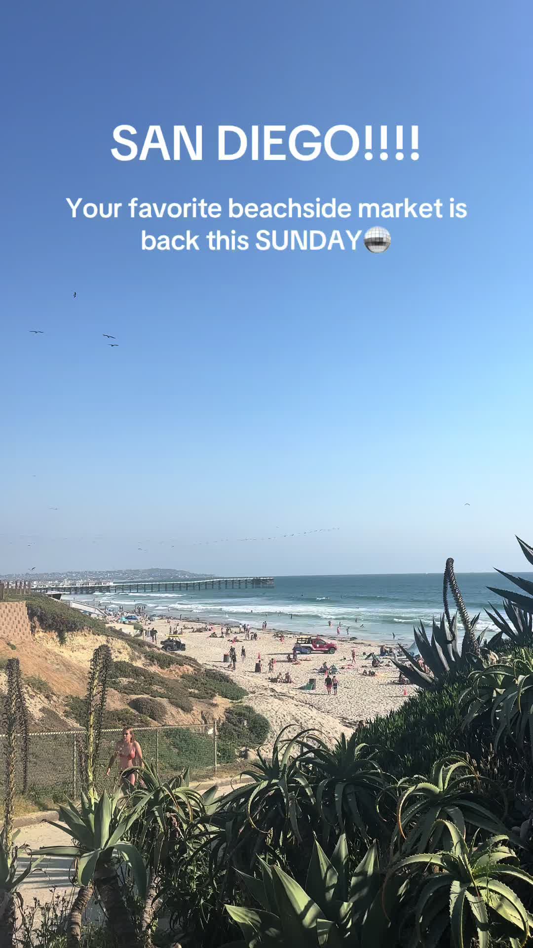 @low tide market