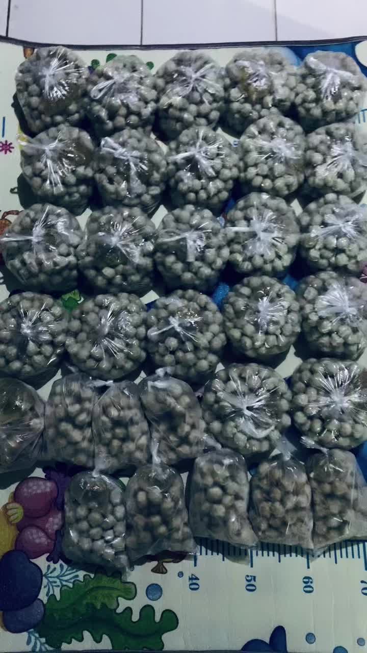 @Vitaandini01