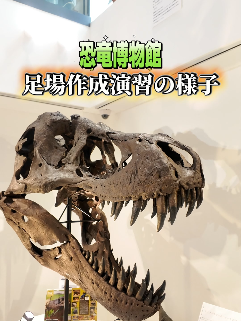 @TCA東京ECO動物海洋専門学校
