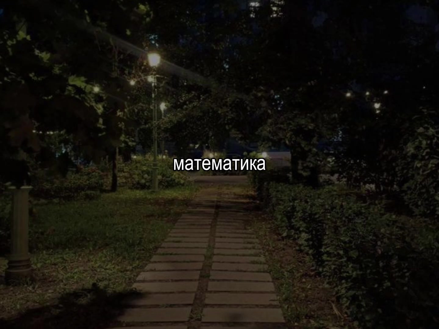 @music lover