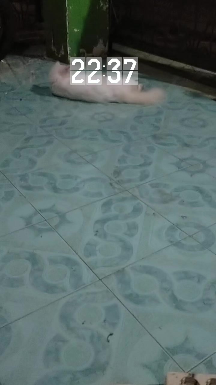 @Bunda Ariyanti