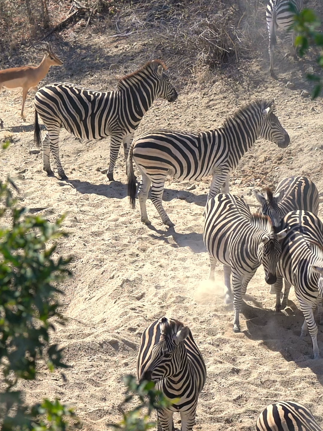 @Madbookings Travel Namibia