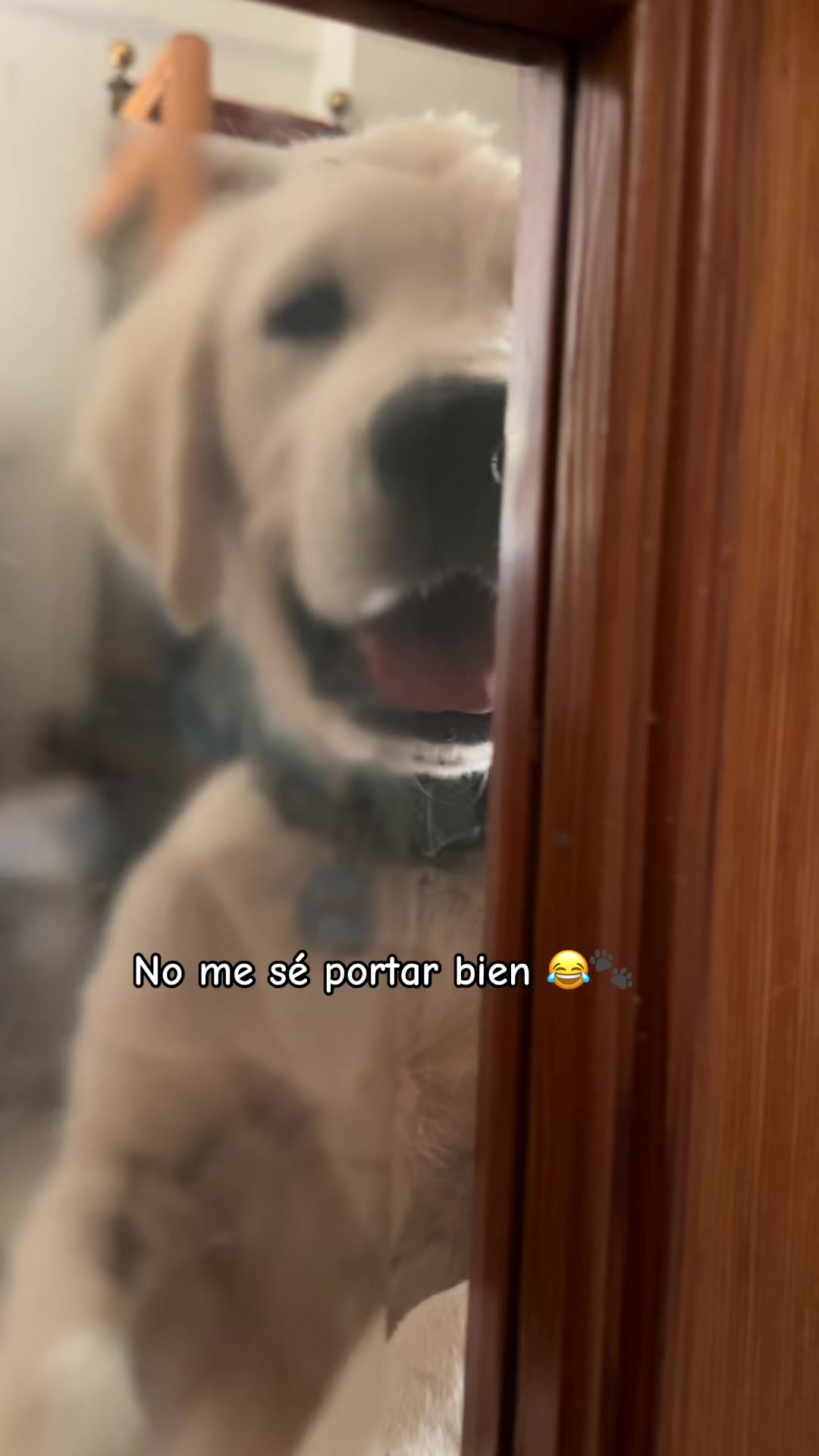 @elhogardemimi