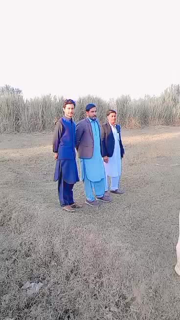 @ali property zone