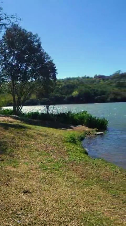 @Estefania Soria