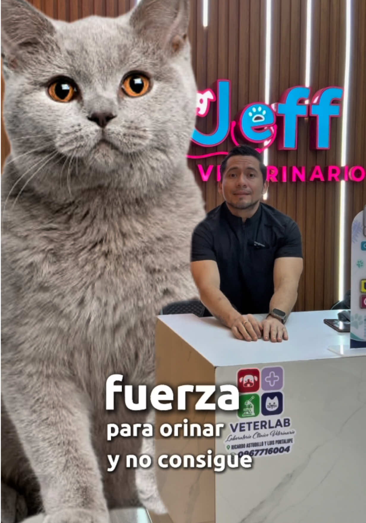 @David Aragundi Bazurto ⚕️🐾