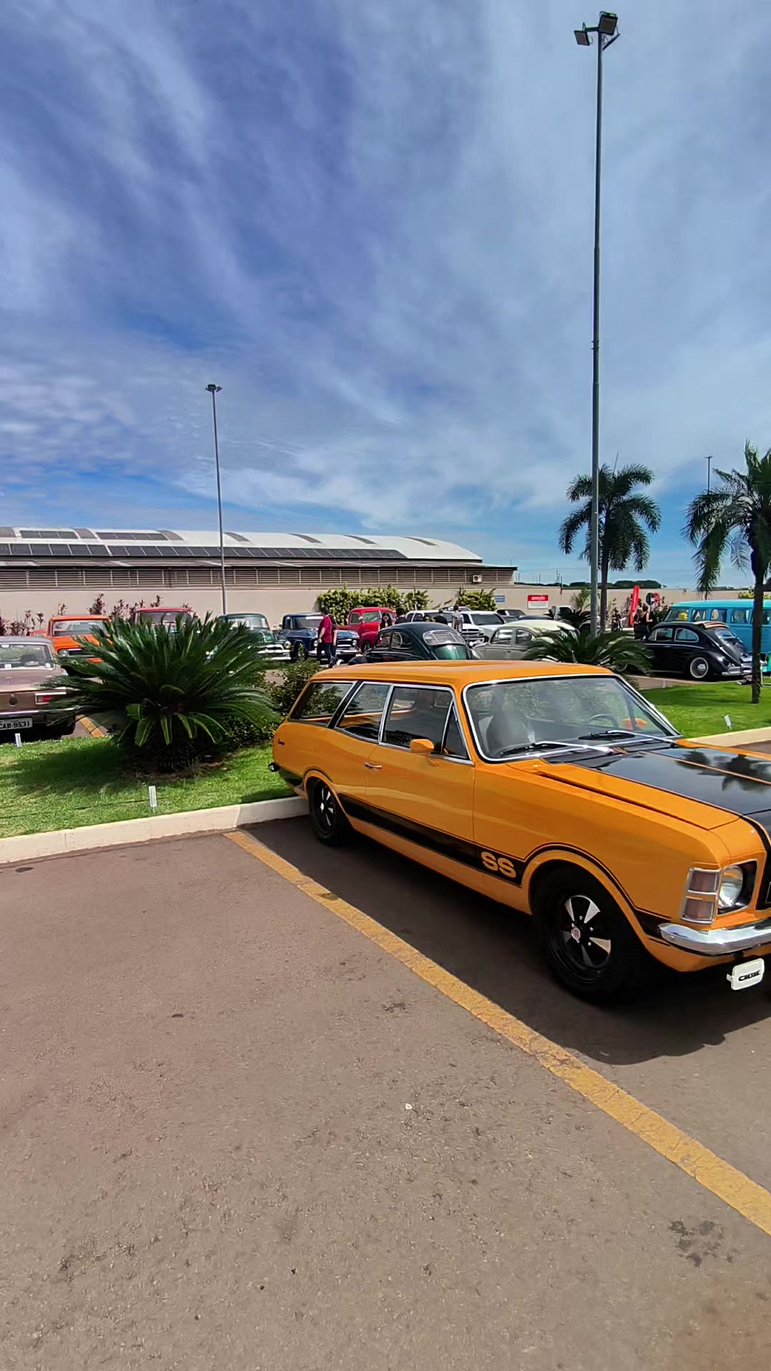 @Cars in Brasil