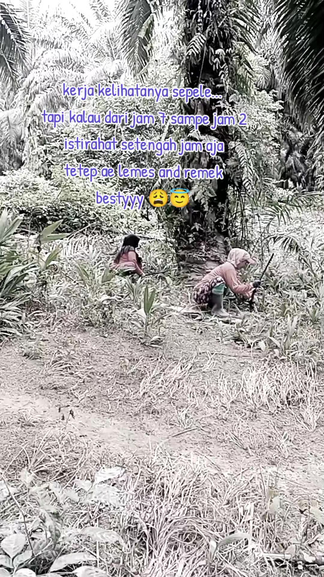@Daryani yani