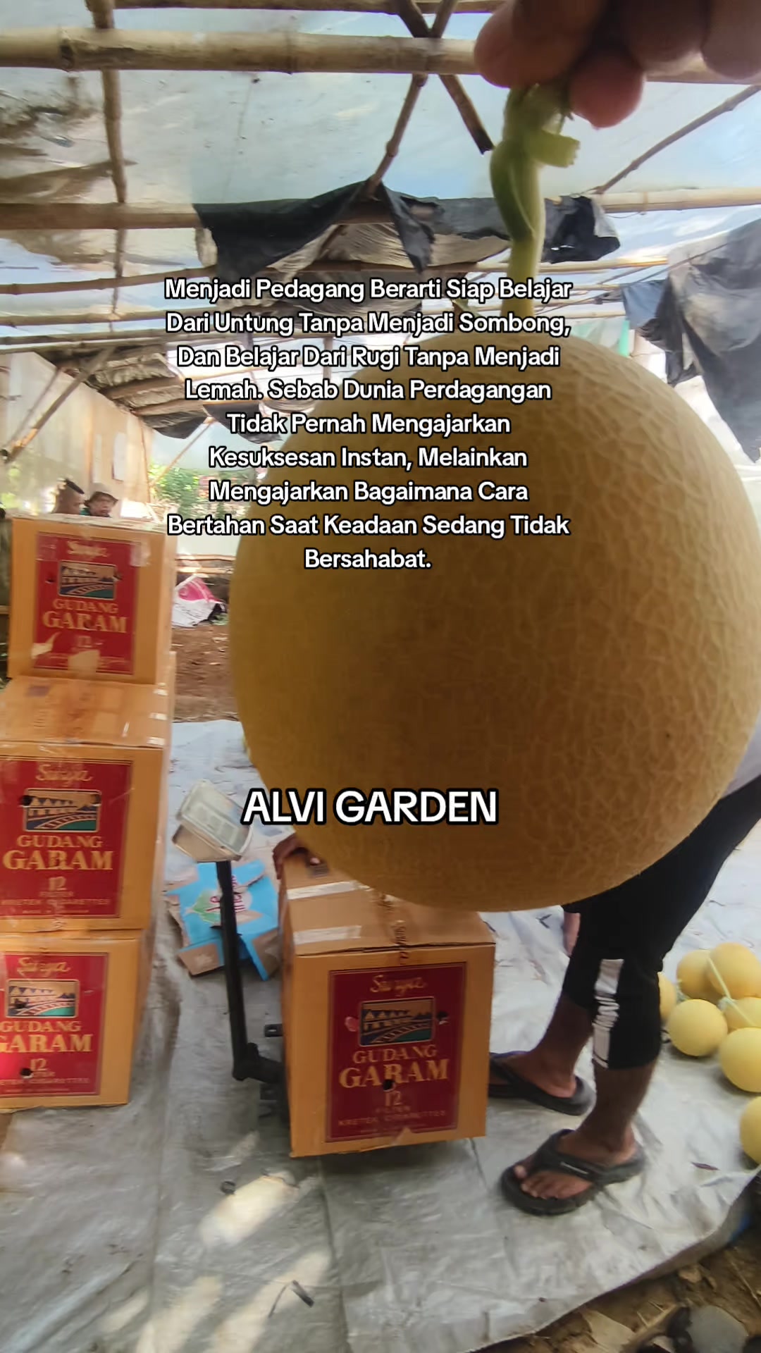 @Alvi Garden