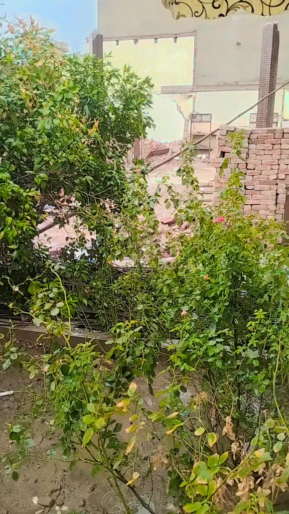 @saifkamboh120