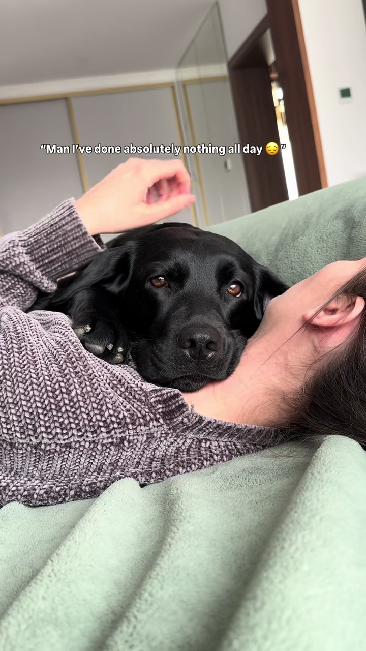 @lisatheblacklab
