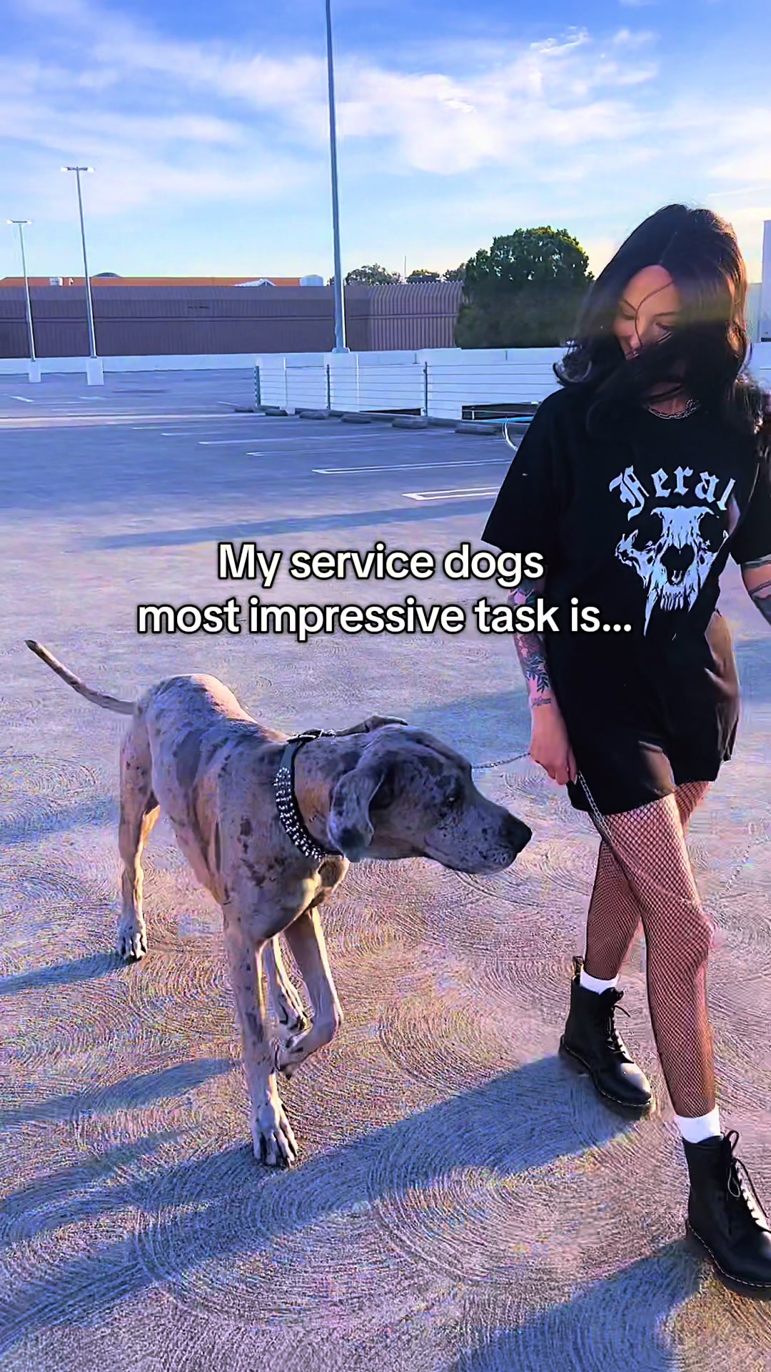 @lex 🐺⛓️