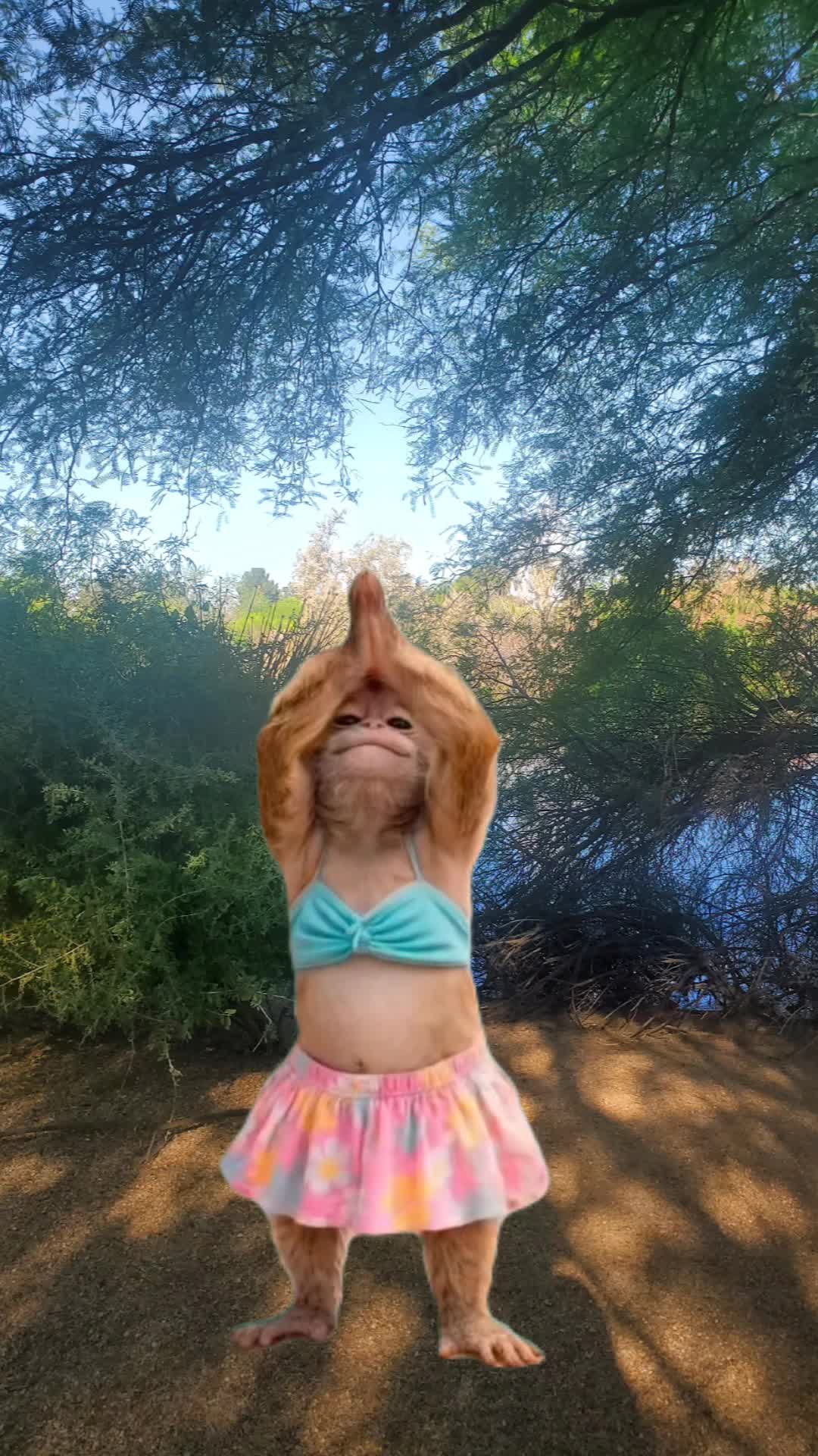 @TheBodyOwl.com