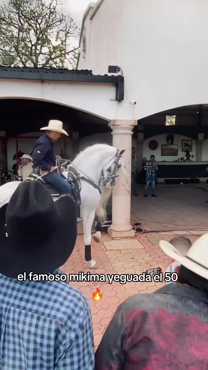@carriles altos de jalisco🐎