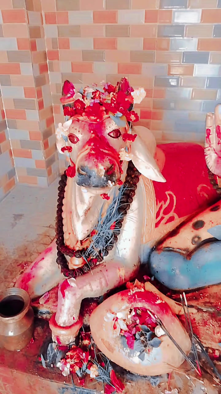 @Laxmi mandal