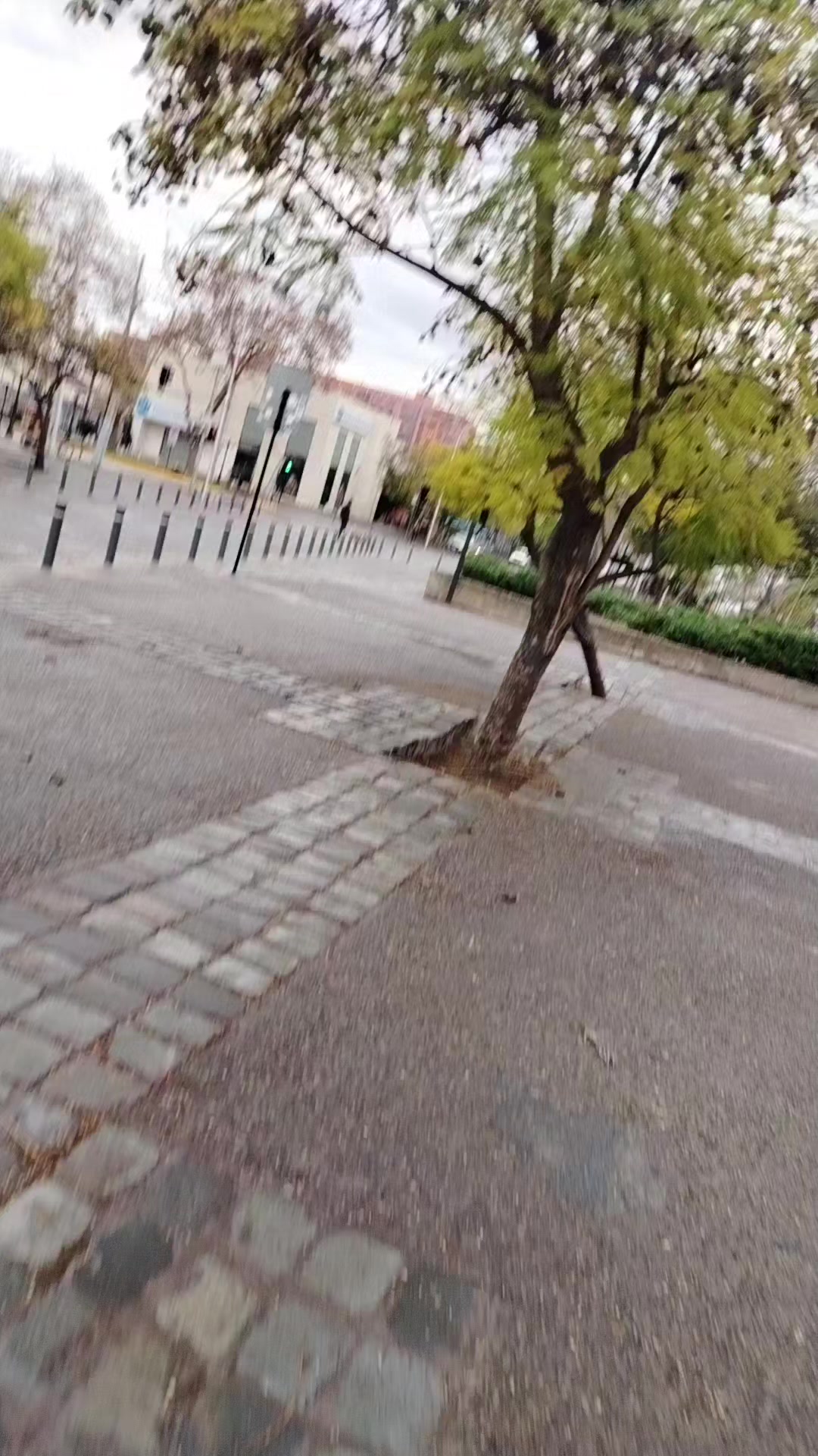 @NACIRA RAM&Iacute;REZ 🇵🇪🇨🇱